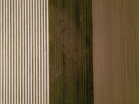 Agriculture - a view of three contrasting arable fields. Photo taken from a drone perspective in western Germany.の写真素材