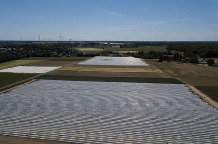 Agriculture - Field of asparagus covered with white foil made of drone. Photo showing the method of growing asparagus taken from a drone perspective in Western Germany in May.の写真素材