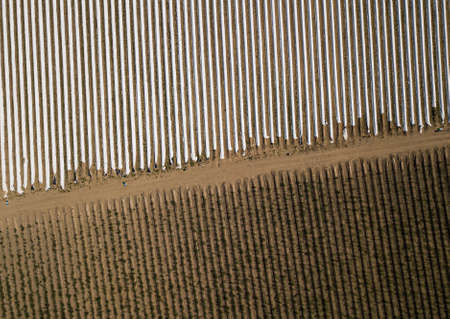 Agriculture - Field of asparagus covered with white foil made of drone. Photo showing the method of growing asparagus taken from a drone perspective in Western Germany in May.の写真素材