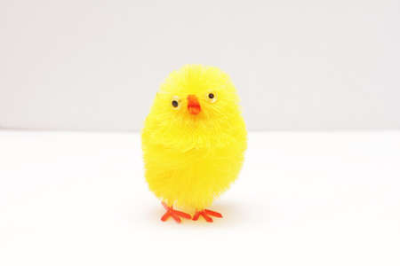 Toy little funny chicken on a white background.の写真素材