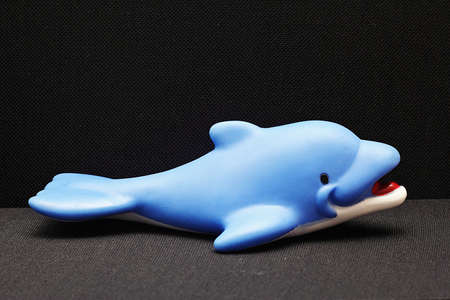 Children's toys for playing in the water Dolphin black background.の写真素材
