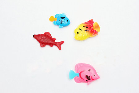 Children's toy plastic multi-colored fish on a white background.の写真素材