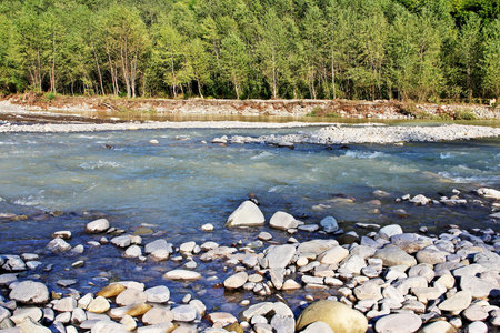 A mountain river with a rapid current and a forest in the summer.の写真素材