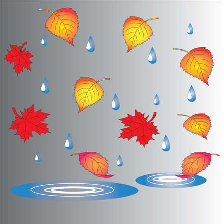 The theme of autumn, fallen leaves, puddles and raindrops.のイラスト素材