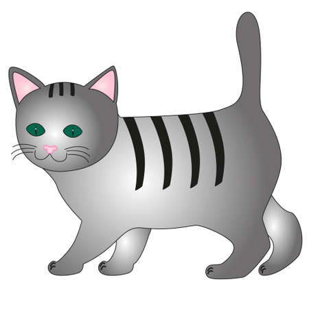 Cartoon funny gray kitten isolated by white background.のイラスト素材