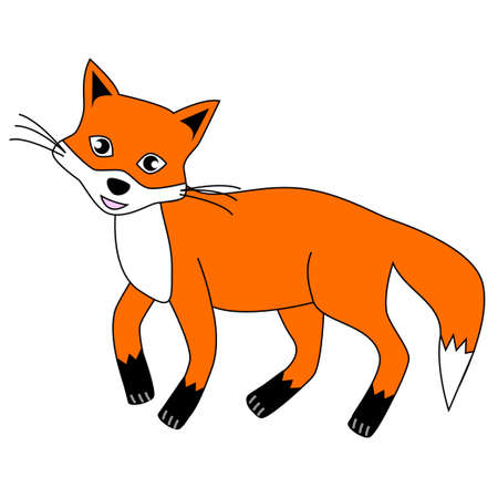 Sweet and good-natured red Fox isolated on a white background.のイラスト素材