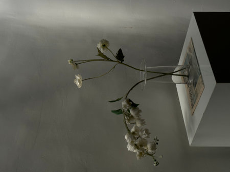 White flowers in a glass vase on a gray wall background.の写真素材