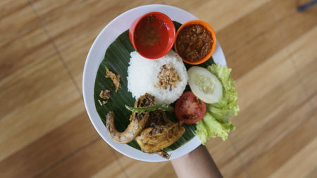 Hands holding a plate of grilled chicken with rice and vegetables.の写真素材