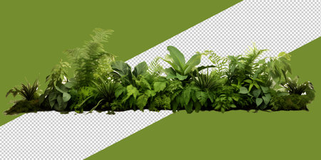 Tropical green leaves PNGの素材