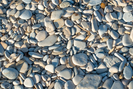 15. Gray stones on the beachの写真素材