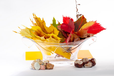 4. Red, yellow and green leaves and the stonesの写真素材