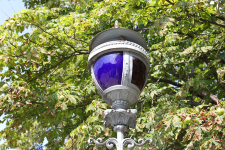A navy blue lamp and green tree leavesの写真素材