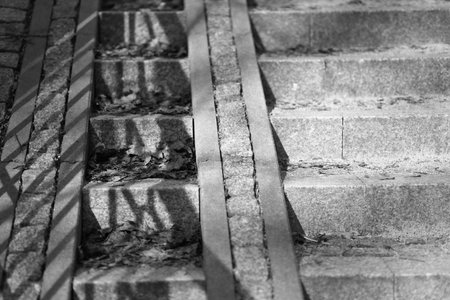 Gray granite pavement and leavesの写真素材