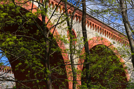 Green leaves on the tree and the brick bridgeの写真素材