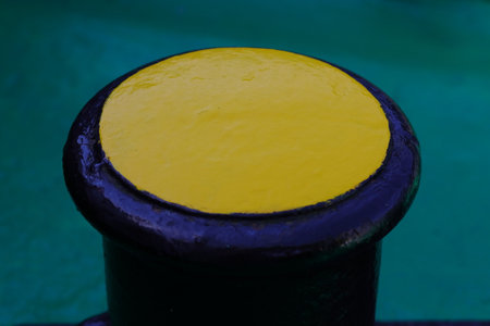 Yellow and black pistil on a turqoise backgroundの写真素材