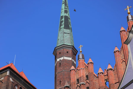 A Ghotic tower and a flying bird