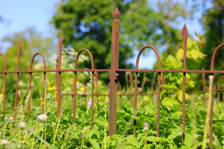 Rusty iron fence among greeneryの写真素材