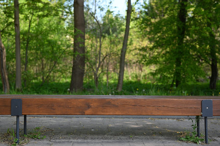 Brown wooden bench and green trees