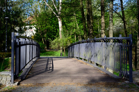 Wooden bridge and metal railings in the park