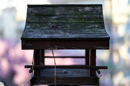 Wooden bird feeder and pink backgroundの写真素材