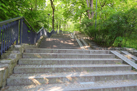Gray granite stairs and green trees