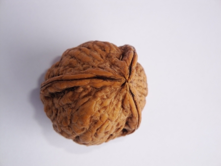 Three-piece walnutの写真素材