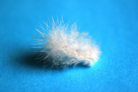 Springの写真素材