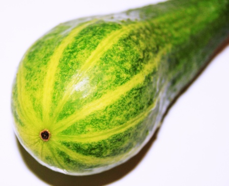 Small cucumberの写真素材