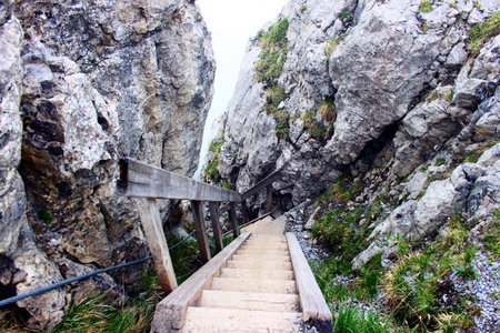 Climbing Climbの写真素材