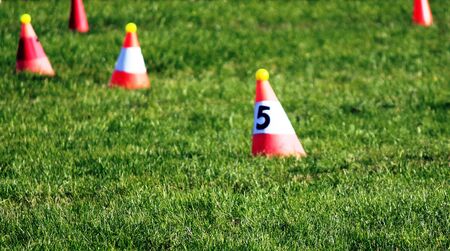 Slalom Cones on the meadowの写真素材