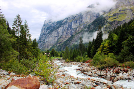 Mountain stream in the high mountains