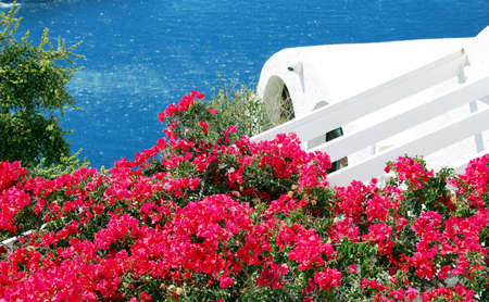 Summer of Santoriniの写真素材