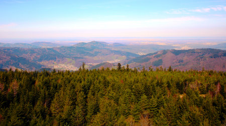 Panoramic view of Carpathian mountains in the evening, Ukraineの写真素材