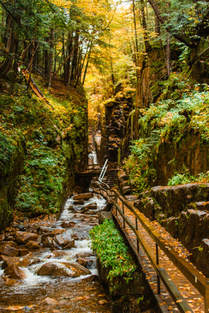 Flume Gorge Franconia Notch State Park Autumn Scenic Forest Trail Wooden Bridge and Stairs Cascading River in New Hampshire. Fall Foliage Season Wetの写真素材