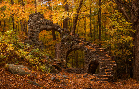 Beautiful Fantasy Forest Autumn Madame Sherri Castle Ruins Magical New Hampshire. Abandoned Stone Staircase in Forest New England. Fall Foliageの写真素材