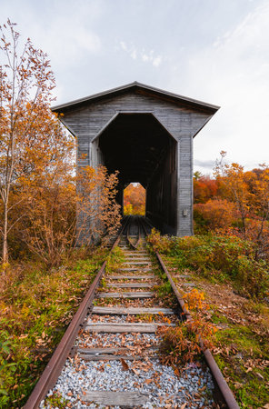 Railroad Tracks Through Covered Bridge in Stowe Vermont, USA in Autumn. Fall Foliage Overgrown Old...