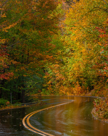 Autumn New England Curved Road Kancamagus Scenic Byway. Colorful Fall Foliage Wet Pavement Beautiful Mountain Road Adventureの写真素材