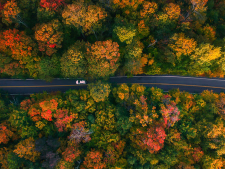 Car Drives on Beautiful Forest Road Aerial Birds Eye View Drone Show in New England in Autumn. Fall...