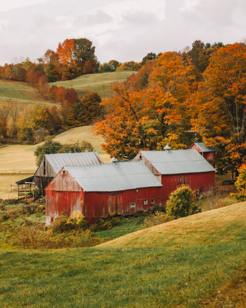 Old Red Barn Autumn in New England Rural Scenic Farm with Fall Foliage Trees, Green Grass. Worn Down, Historic, Family Farm American Valuesの写真素材