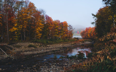 Autumn in New England Landscape Photography Beautiful River Runs Through Colorful Fall Foliage Forest Fog and Clouds in Distance Early Morningの写真素材