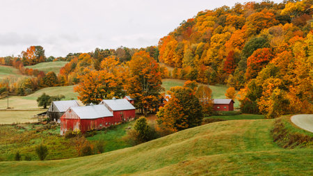 Fall Foliage Farm in Vermont Beautiful Autumn Colors in Vermont, USA. Rolling Hills of Grass, Colorful Trees, Red Barn Rural Small Town New Englandの写真素材