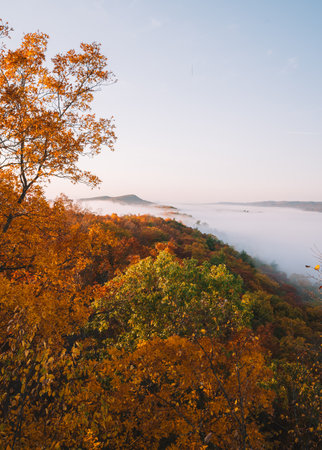 Wide View Orange Trees Leaves Beautiful Fog Covered Forest in Autumn New England. Sunrise Light Early Morning Low Clouds in Colorful Fall Foliageの写真素材