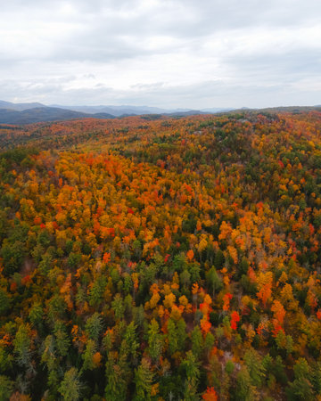 Epic Aerial New England Fall Foliage Autumn Drone View of Forest Covered in Yellow and Red Changing...