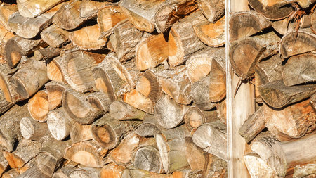 Woodpile with firewood also conceivable as Isektenhotel