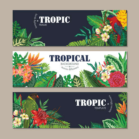 collection of three cards, with parrots, exotic flowers, plants and leaves.のイラスト素材