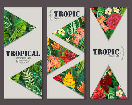 collection with six cards, notes and banners with toucan, exotic flowers, plants and leaves.のイラスト素材