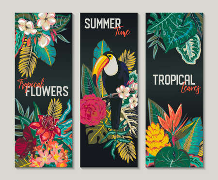 collection of three cards, with toucan, exotic flowers, plants and leaves.のイラスト素材