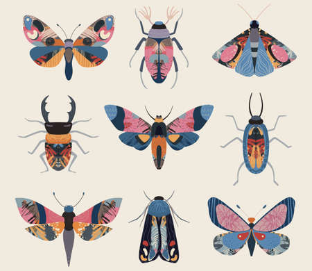 Vector set of colorful insects with hand drawn abstract texture. Beetle, butterfly, moth collection.のイラスト素材