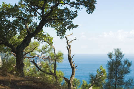 Sea coast on Black seaの写真素材