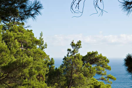 Sea coast on Black seaの写真素材